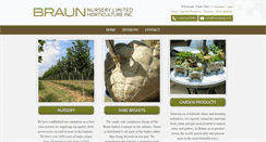 Desktop Screenshot of braungroup.com