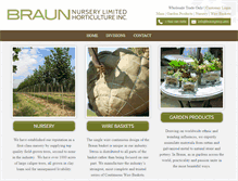 Tablet Screenshot of braungroup.com
